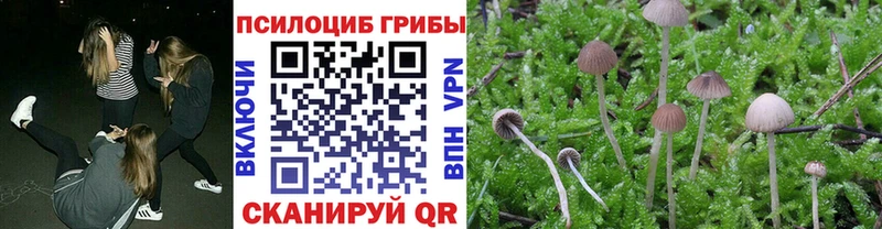 Псилоцибиновые грибы MAGIC MUSHROOMS  МЕГА зеркало  Окуловка  цены  